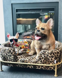 KARE Deko Figur Comic Dog Glasses 25cm