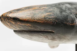 KARE Deko Figur Shark Base 59cm