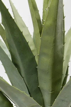 KARE Deko Pflanze Agave 85cm