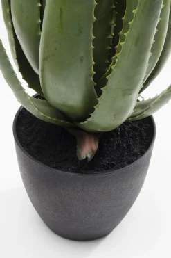 KARE Deko Pflanze Aloe 69cm