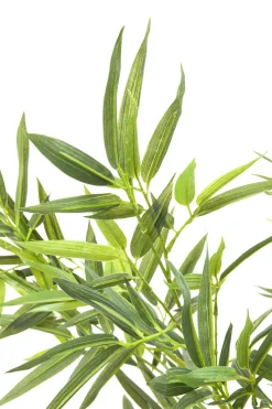 KARE Deko Pflanze Bamboo Tree 200cm