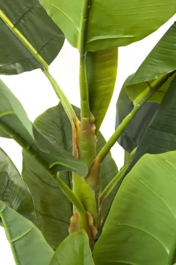 KARE Deko Pflanze Banana Tree 180cm