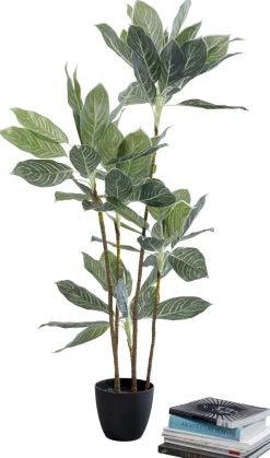 KARE Deko Pflanze Calathea 140cm