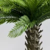 KARE Deko Pflanze Cycas 70cm