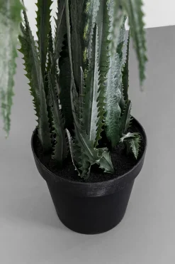 KARE Deko Pflanze Dragon Tree 155cm