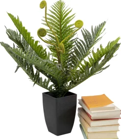 KARE Deko Pflanze Farn 55cm