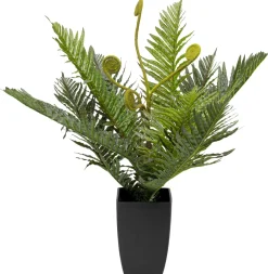 KARE Deko Pflanze Farn 55cm