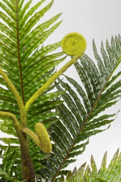 KARE Deko Pflanze Farn 55cm