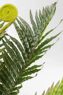 KARE Deko Pflanze Farn 55cm