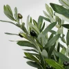 KARE Deko Pflanze Olive Tree 150cm
