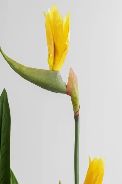 KARE Deko Pflanze Paradise Flowers 190cm