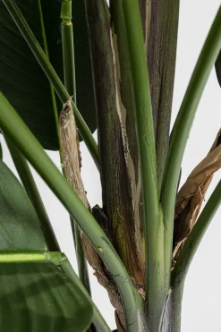 KARE Deko Pflanze Paradise Flowers 190cm