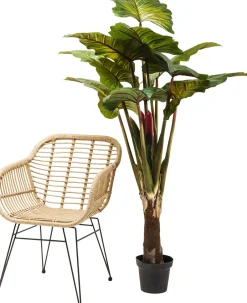 KARE Deko Pflanze Rainforest Green 160cm