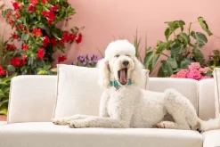 KARE Ecksofa Infinity Ottomane Creme Rechts