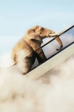 KARE Gerahmtes Bild Elephant In The Sky 150x100cm