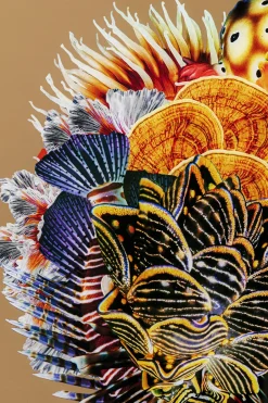 KARE Gerahmtes Bild Flower Hair 120x120cm