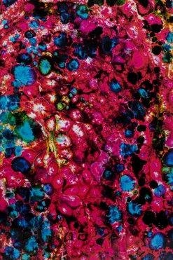 KARE Gerahmtes Bild Wild Berries 205x125cm