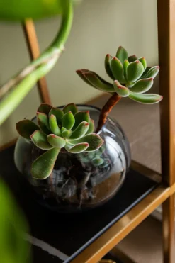 KARE Regal Cesaro 90x170cm