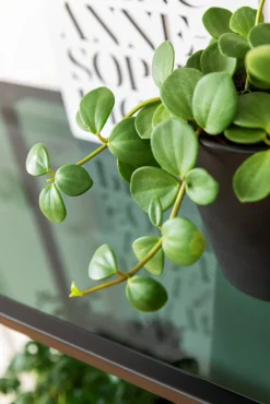 KARE Regal Loft Schwarz 115x195cm