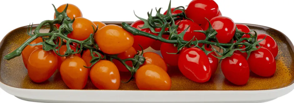 KARE Schale Colorino 30x26cm