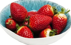 KARE Schale Mustique Ø17