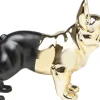 KARE Spardose Bulldog Gold-Schwarz