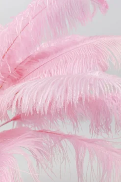 KARE Stehleuchte Feather Palm Pink 165cm