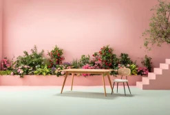 KARE Stuhl Rosali Creme