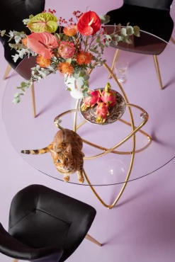 KARE Stuhl Viva Schwarz