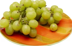 KARE Teller Capri Ø20cm