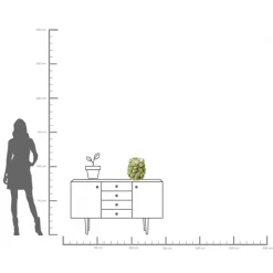 KARE Vase Carambola 37