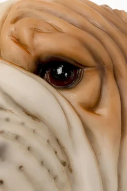 KARE Wandleuchte Animal Dog Head 25cm