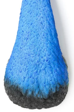 KARE Wandschmuck Peacock