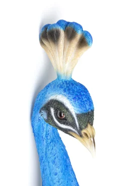 KARE Wandschmuck Peacock